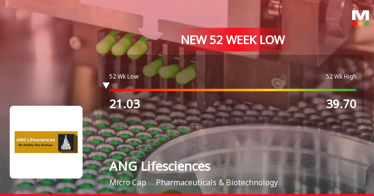 ANG Lifesciences Falls to 52-Week Low of Rs 19.51 as Sell-Off Deepens