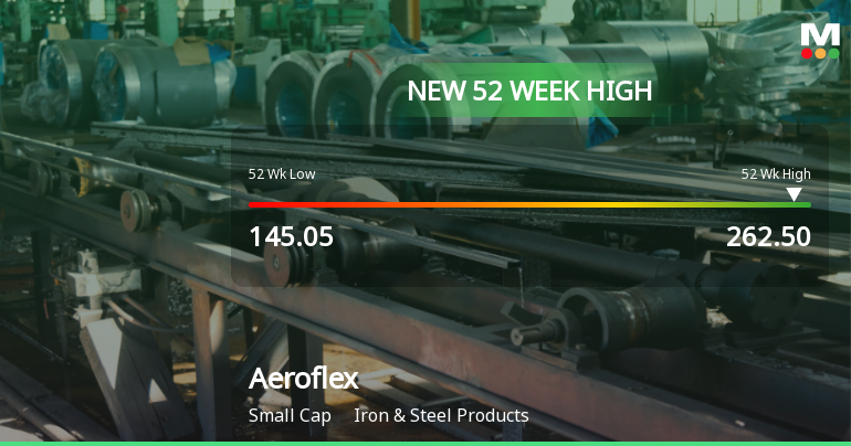 Broad-Based Technical Strength Lifts Aeroflex Industries Ltd to 52-Week High of Rs 264.2