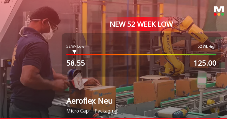 Aeroflex Neu Ltd Stock Falls to 52-Week Low Amid Continued Underperformance