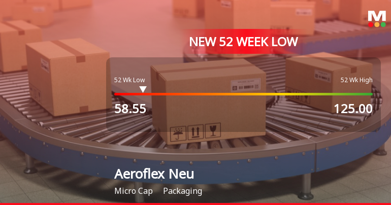 Aeroflex Neu Ltd Stock Falls to 52-Week Low Amidst Continued Underperformance