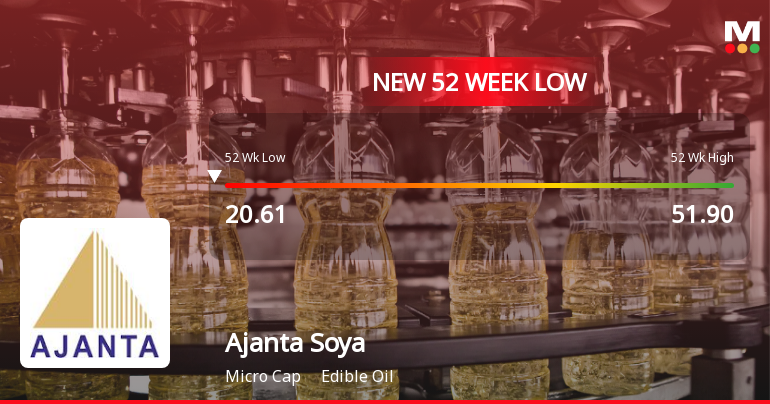 Ajanta Soya Ltd Falls to 52-Week Low of Rs 20 as Sell-Off Deepens