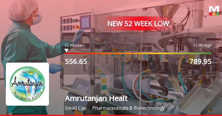 Amrutanjan Health Care Ltd Falls to 52-Week Low Amid Continued Market Pressure