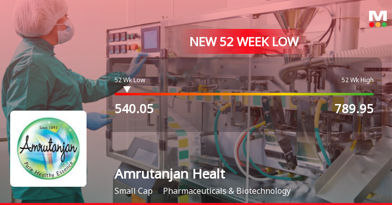 Amrutanjan Health Care Ltd Falls to 52-Week Low Amid Market Downturn