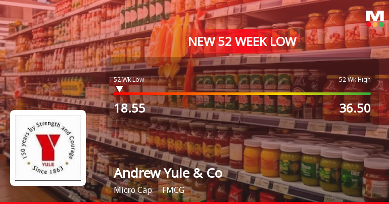 Andrew Yule & Company Ltd Hits 52-Week Low Amidst Continued Downtrend