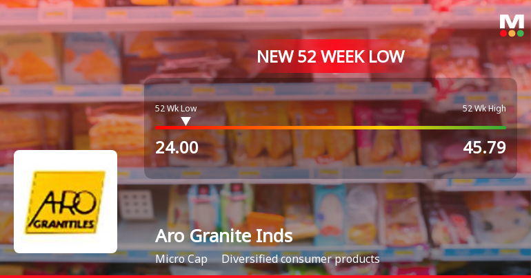 Aro Granite Industries Ltd Falls to 52-Week Low of Rs.24 Amidst Continued Financial Strain