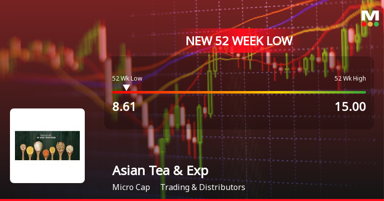 Asian Tea & Exports Ltd Falls to 52-Week Low of Rs.8.61