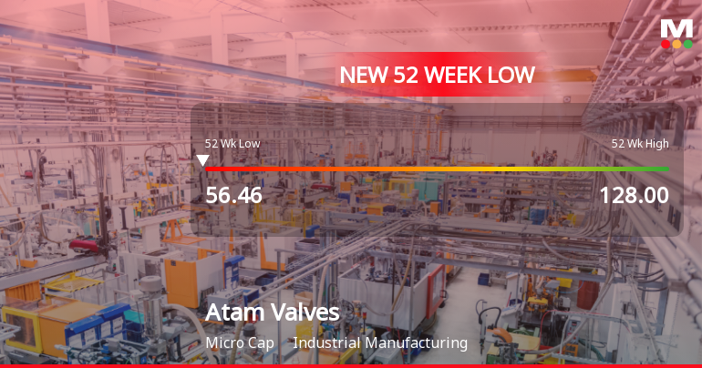 Atam Valves Ltd Stock Falls to 52-Week Low of Rs 56