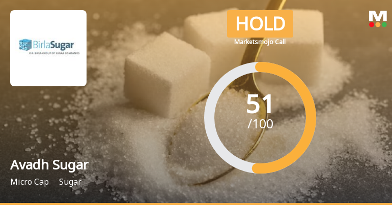Avadh Sugar & Energy Ltd is Rated Hold by MarketsMOJO