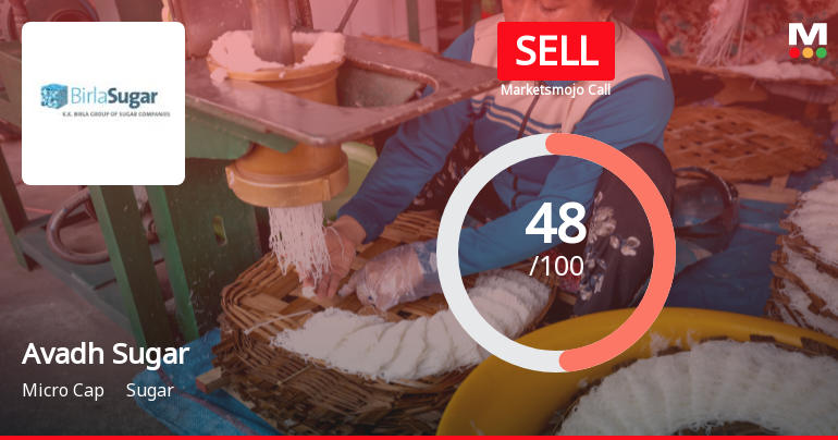 Avadh Sugar & Energy Ltd Downgraded to Sell Amid Debt Concerns and Sluggish Growth