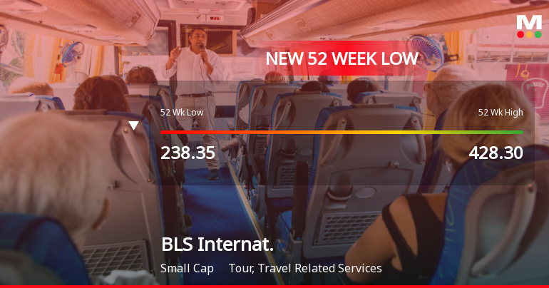 BLS International Services Ltd Falls to 52-Week Low of Rs 228 as Sell-Off Deepens