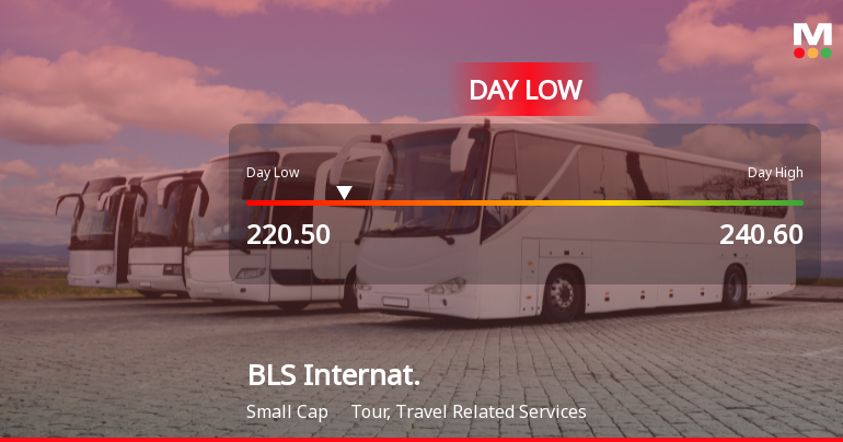 BLS International Services Ltd Hits Intraday Low Amid Price Pressure