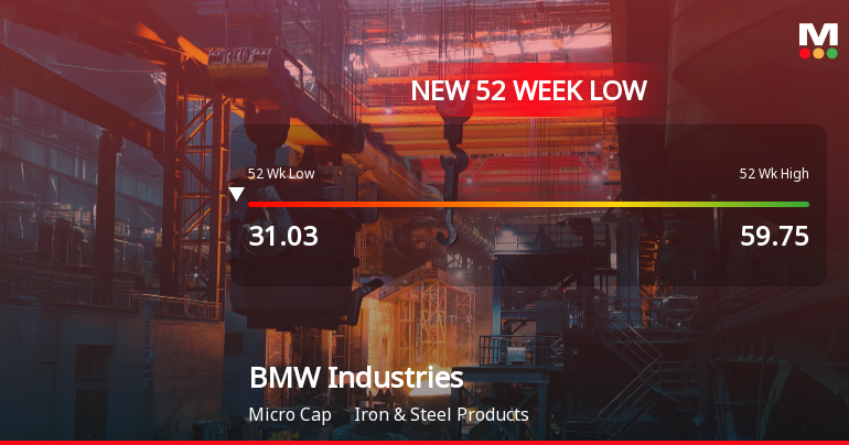 Five Consecutive Losses Push BMW Industries Ltd to a New 52-Week Low