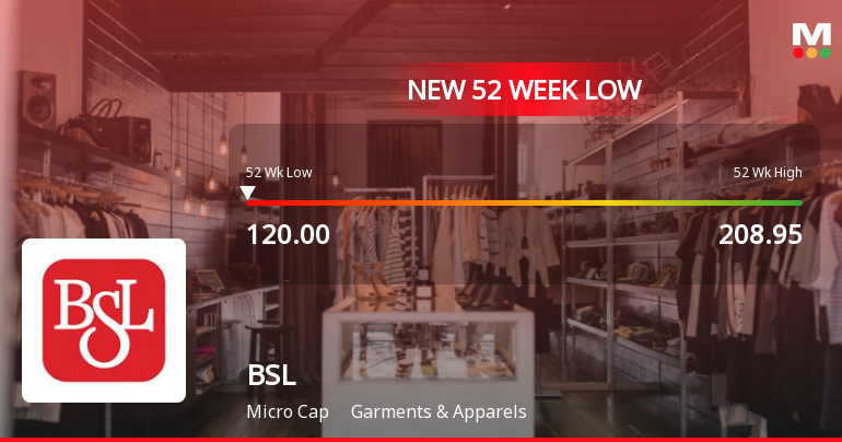 Markets Rally, But BSL Ltd Sinks to 52-Week Low in Stock-Specific Sell-Off