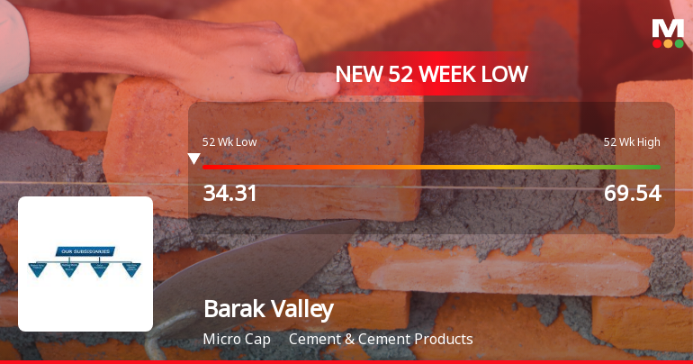 Markets Rally, But Barak Valley Cements Ltd Sinks to 52-Week Low in Stock-Specific Sell-Off