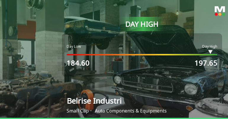 Belrise Industries Ltd Surges 7.01% to Day's High of Rs 195.9 — Outperforms Sector by 3.65 Percentage Points
