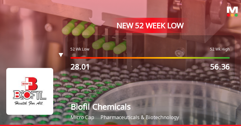 Markets Rally, But Biofil Chemicals & Pharmaceuticals Ltd Sinks to 52-Week Low in Stock-Specific Sell-Off