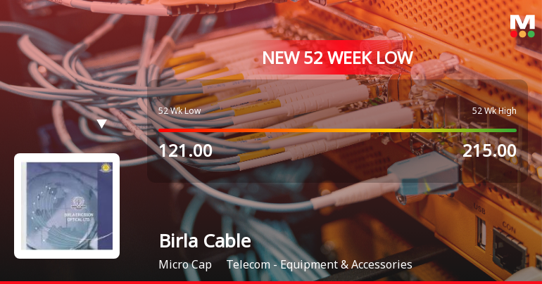 Markets Rally, But Birla Cable Ltd Sinks to 52-Week Low in Stock-Specific Sell-Off