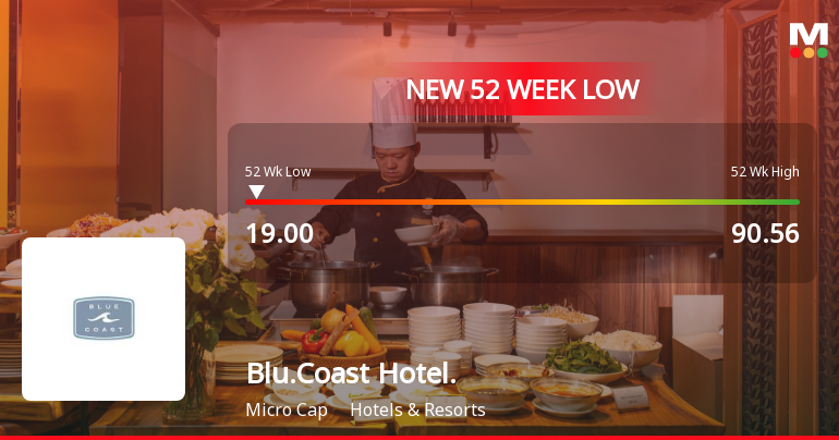 Blue Coast Hotels Ltd Falls to 52-Week Low of Rs 18.79 as Sell-Off Deepens