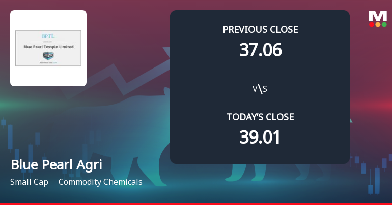 Blue Pearl Agriventures Ltd Opens with Significant Gap Down Amid Market Concerns