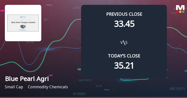 Blue Pearl Agriventures Ltd Opens with Significant Gap Down Amid Market Concerns