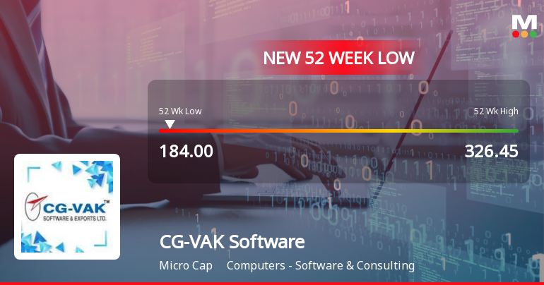 CG-VAK Software & Exports Ltd Falls to 52-Week Low of Rs.184