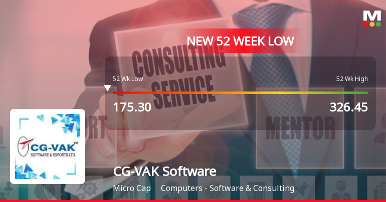Markets Rally, But CG-VAK Software & Exports Ltd Sinks to 52-Week Low in Stock-Specific Sell-Off