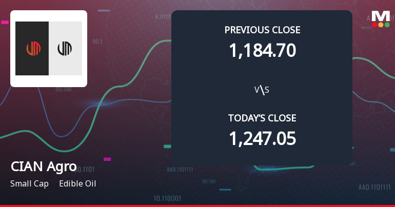 CIAN Agro Industries & Infrastructure Ltd Opens with Significant Gap Down Amid Market Concerns