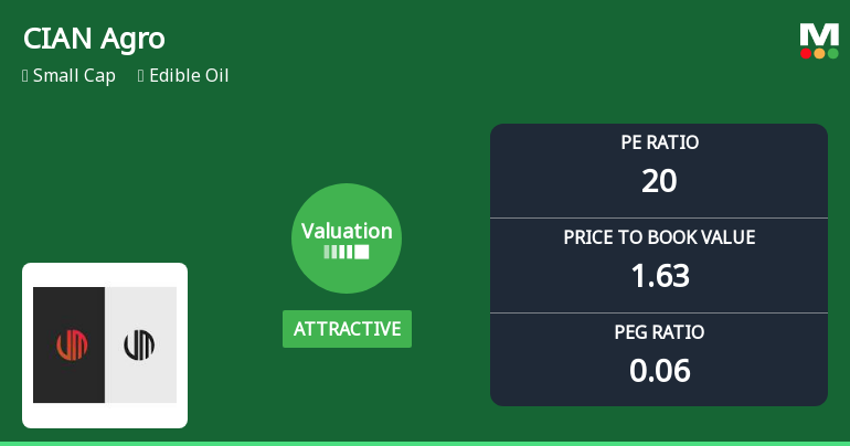 CIAN Agro Industries & Infrastructure Ltd Valuation Shifts Signal Renewed Price Attractiveness