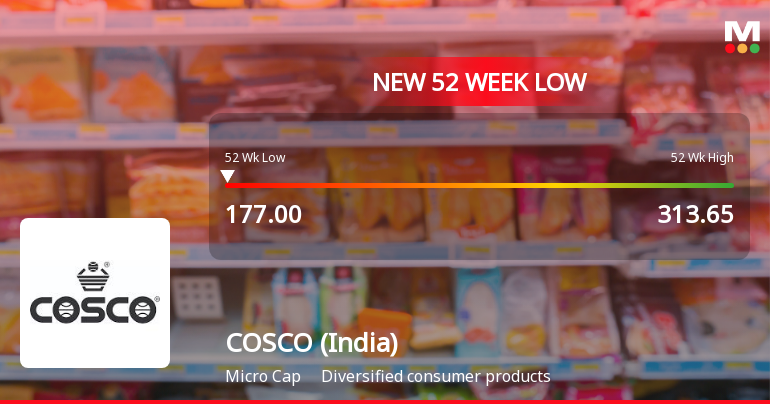 COSCO (India) Ltd Stock Hits 52-Week Low Amidst Continued Downtrend