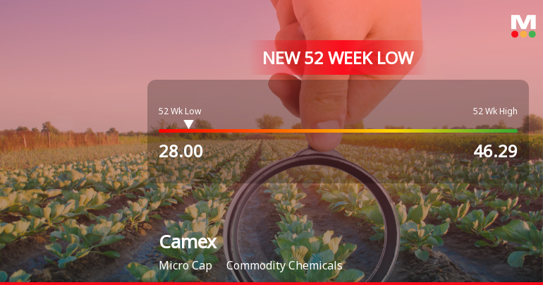 Camex Ltd Stock Falls to 52-Week Low of Rs.28 Amidst Weak Fundamentals