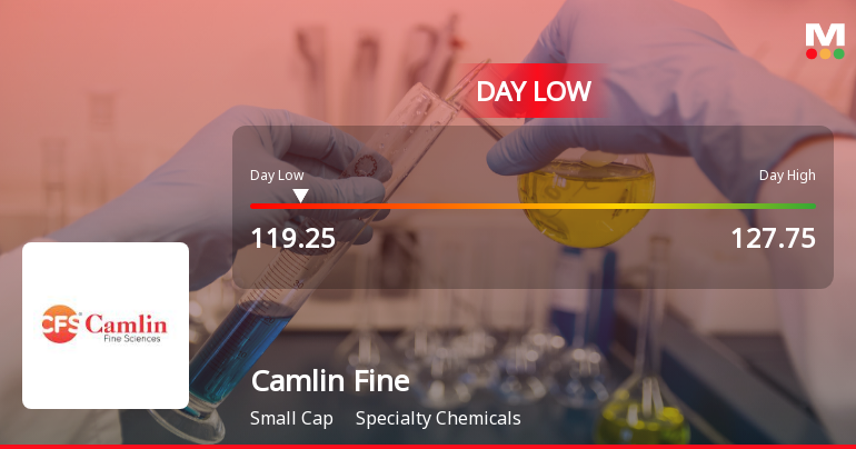 Camlin Fine Sciences Ltd Hits Intraday Low Amidst Price Pressure
