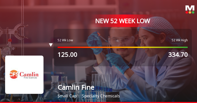 Seven-Day Slide Drags Camlin Fine Sciences Ltd to 52-Week Low of Rs 115.45
