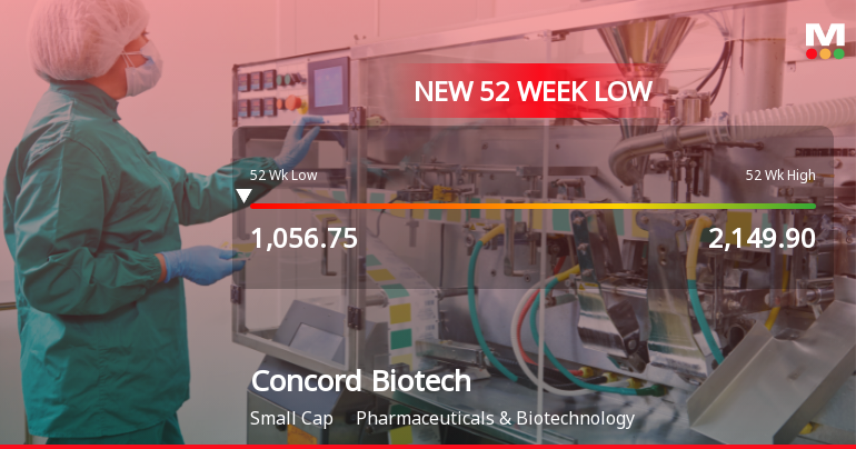 Five Consecutive Losses Push Concord Biotech Ltd to a New 52-Week Low