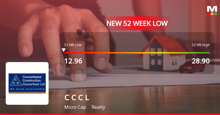 Five Consecutive Losses Push Consolidated Construction Consortium Ltd to a New 52-Week Low