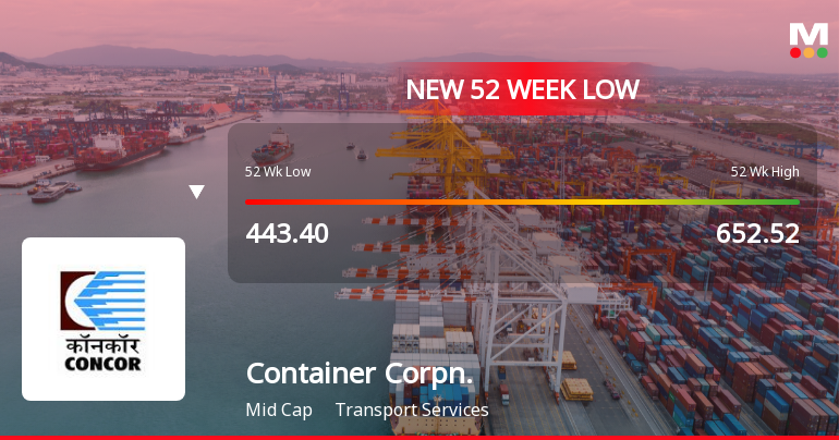 Markets Rally, But Container Corporation Of India Ltd Sinks to 52-Week Low in Stock-Specific Sell-Off
