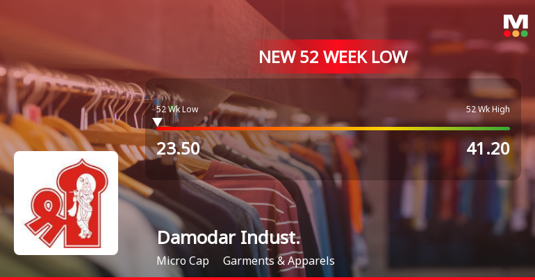 Damodar Industries Ltd Stock Falls to 52-Week Low of Rs.23.5