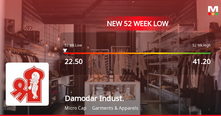 Damodar Industries Ltd Falls to 52-Week Low Amid Continued Underperformance