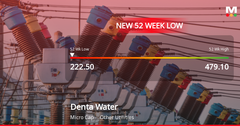 Denta Water & Infra Solutions Ltd Falls to 52-Week Low of Rs.222.5