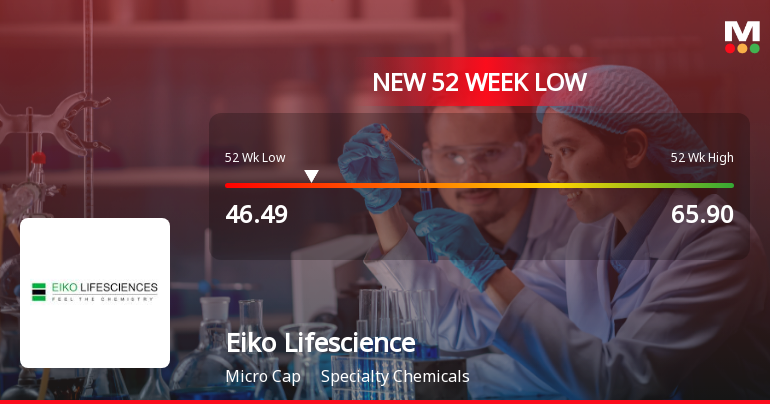 Eiko Lifesciences Ltd Falls to 52-Week Low of Rs 45.9 as Sell-Off Deepens