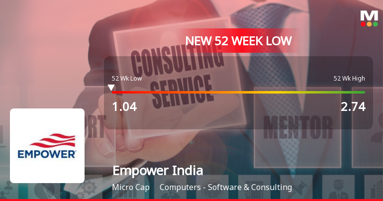 Markets Rally, But Empower India Ltd Sinks to 52-Week Low in Stock-Specific Sell-Off