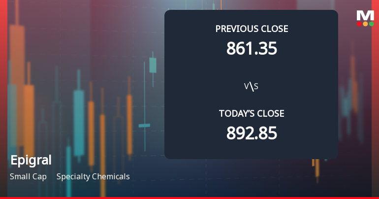 Epigral Ltd Opens with Significant Gap Down Amid Market Concerns
