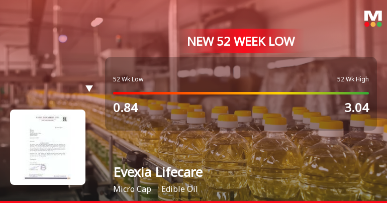 Evexia Lifecare Ltd Falls to 52-Week Low of Rs 0.63 as Sell-Off Deepens
