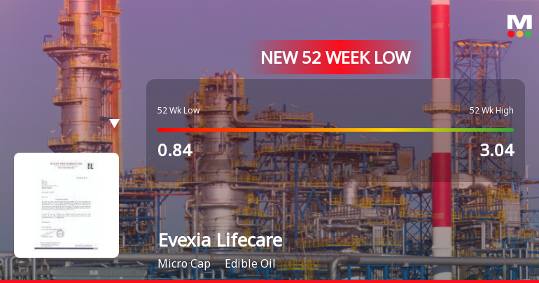 Five Consecutive Losses Push Evexia Lifecare Ltd to a New 52-Week Low