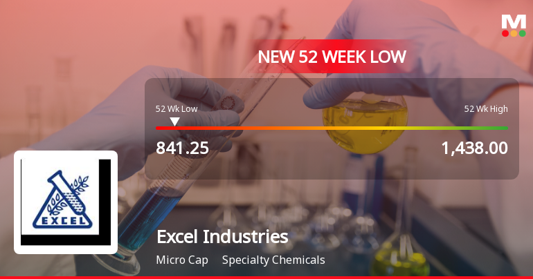 Excel Industries Ltd Falls to 52-Week Low Amidst Continued Downtrend