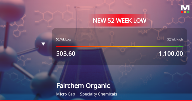 Fairchem Organics Ltd Falls to 52-Week Low of Rs 440.5 as Sell-Off Deepens