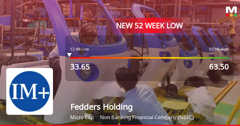 Markets Rally, But Fedders Holding Ltd Sinks to 52-Week Low in Stock-Specific Sell-Off