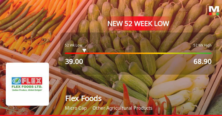 Flex Foods Ltd Stock Falls to 52-Week Low of Rs.39 Amidst Continued Underperformance