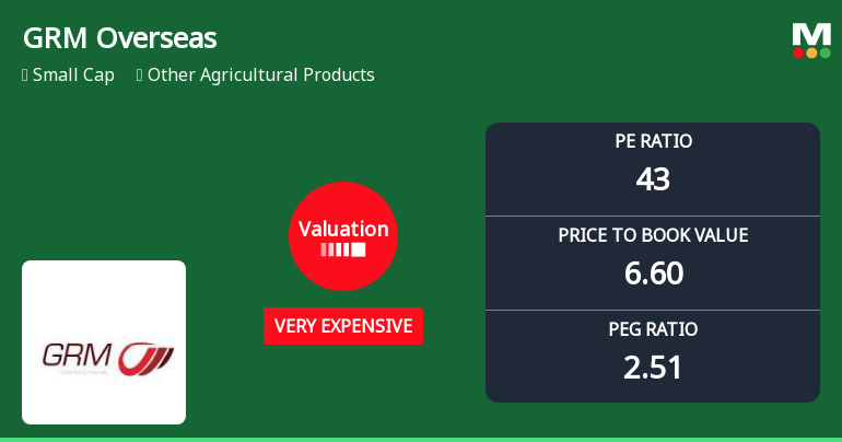 GRM Overseas Ltd Valuation Shifts Signal Heightened Price Premium Amid Strong Returns