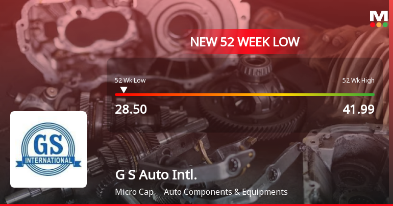 Markets Rally, But G S Auto International Ltd Sinks to 52-Week Low in Stock-Specific Sell-Off