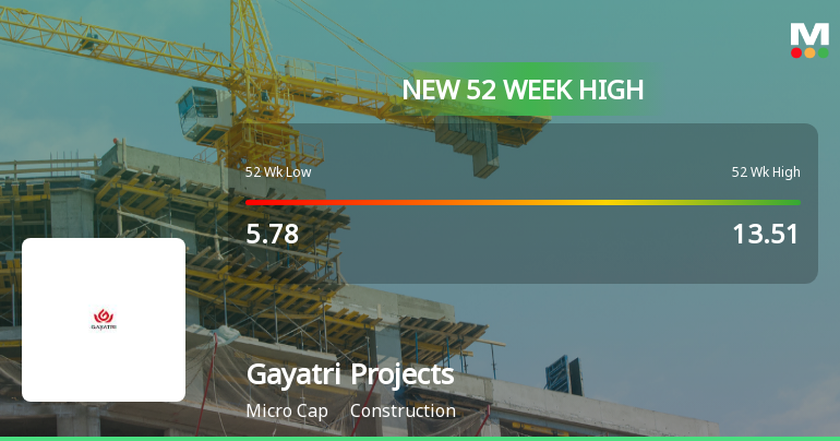 Broad-Based Technical Strength Lifts Gayatri Projects Ltd to 52-Week High of Rs 14.18